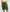 ONE Logo Jogger Shorts (Khaki Green)