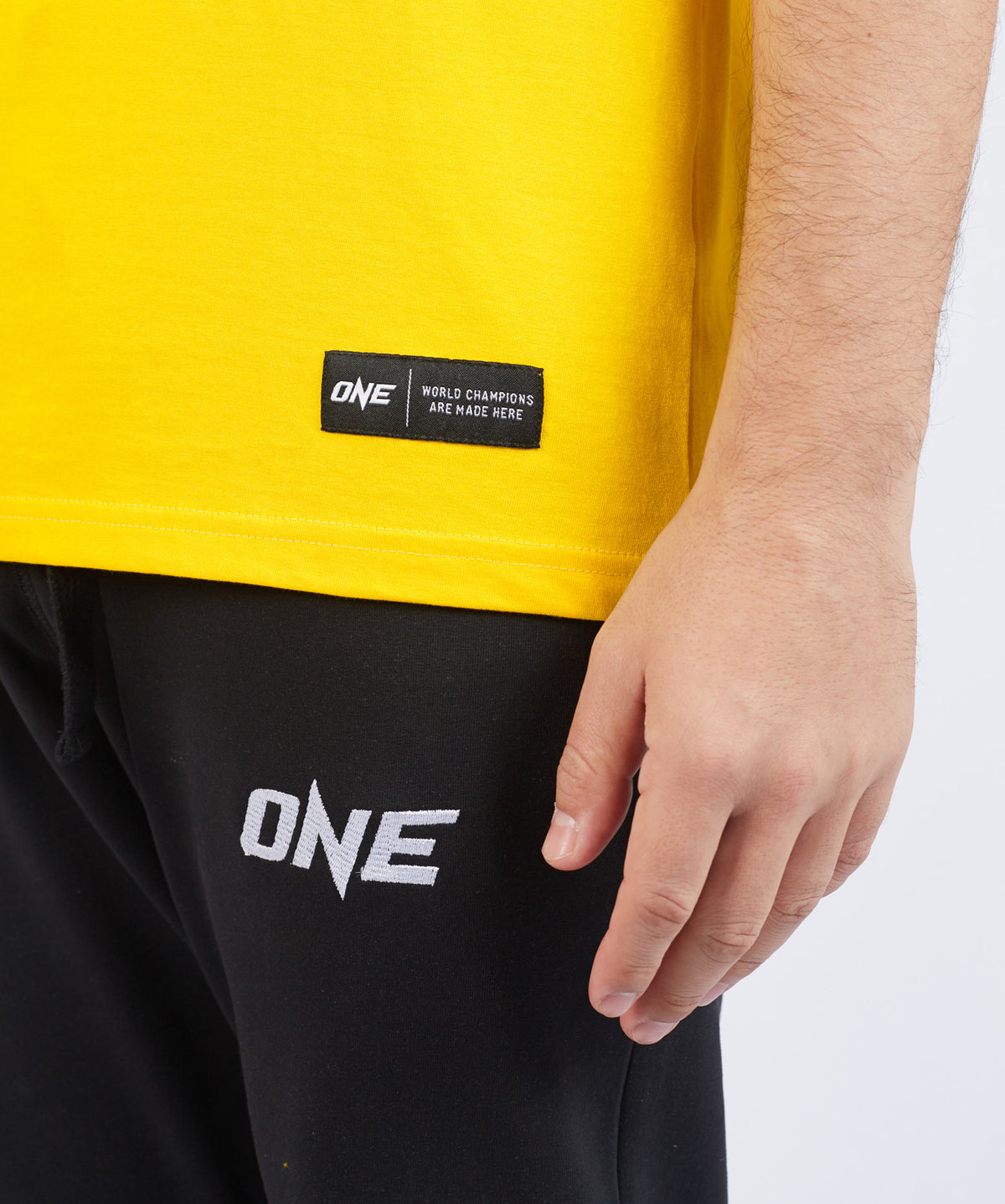 Kickboxing vs The World Tee