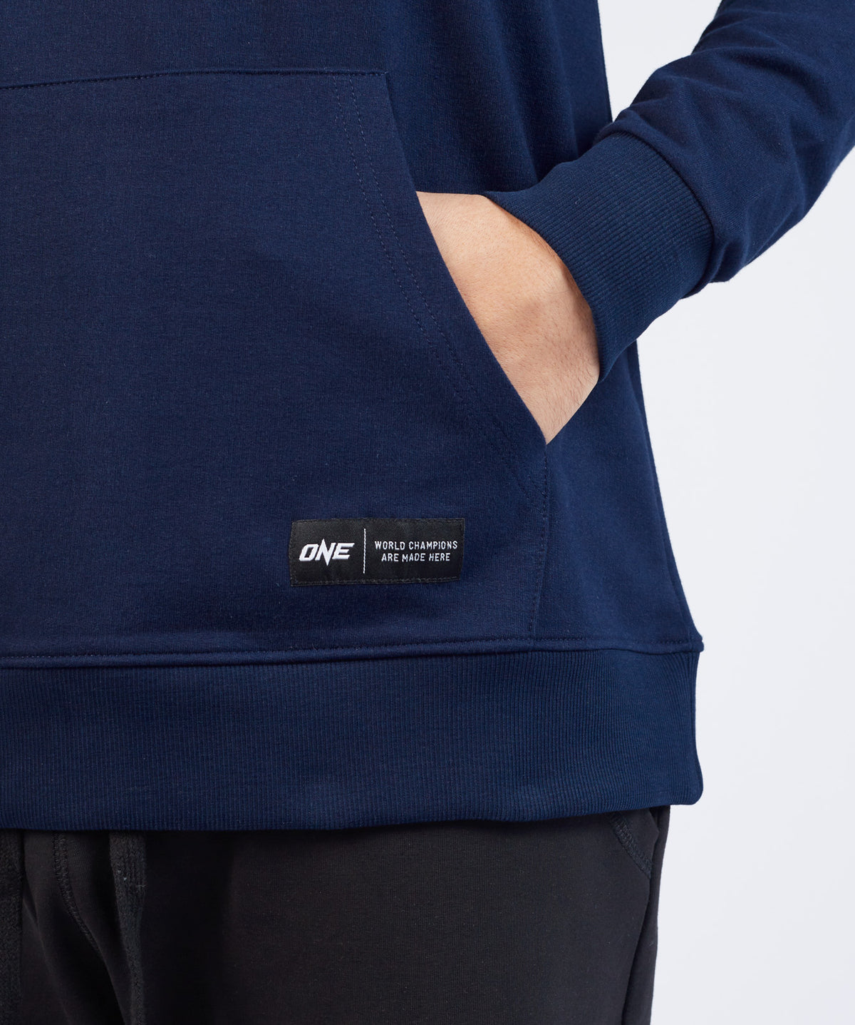 Philippine Eagle Hoodie