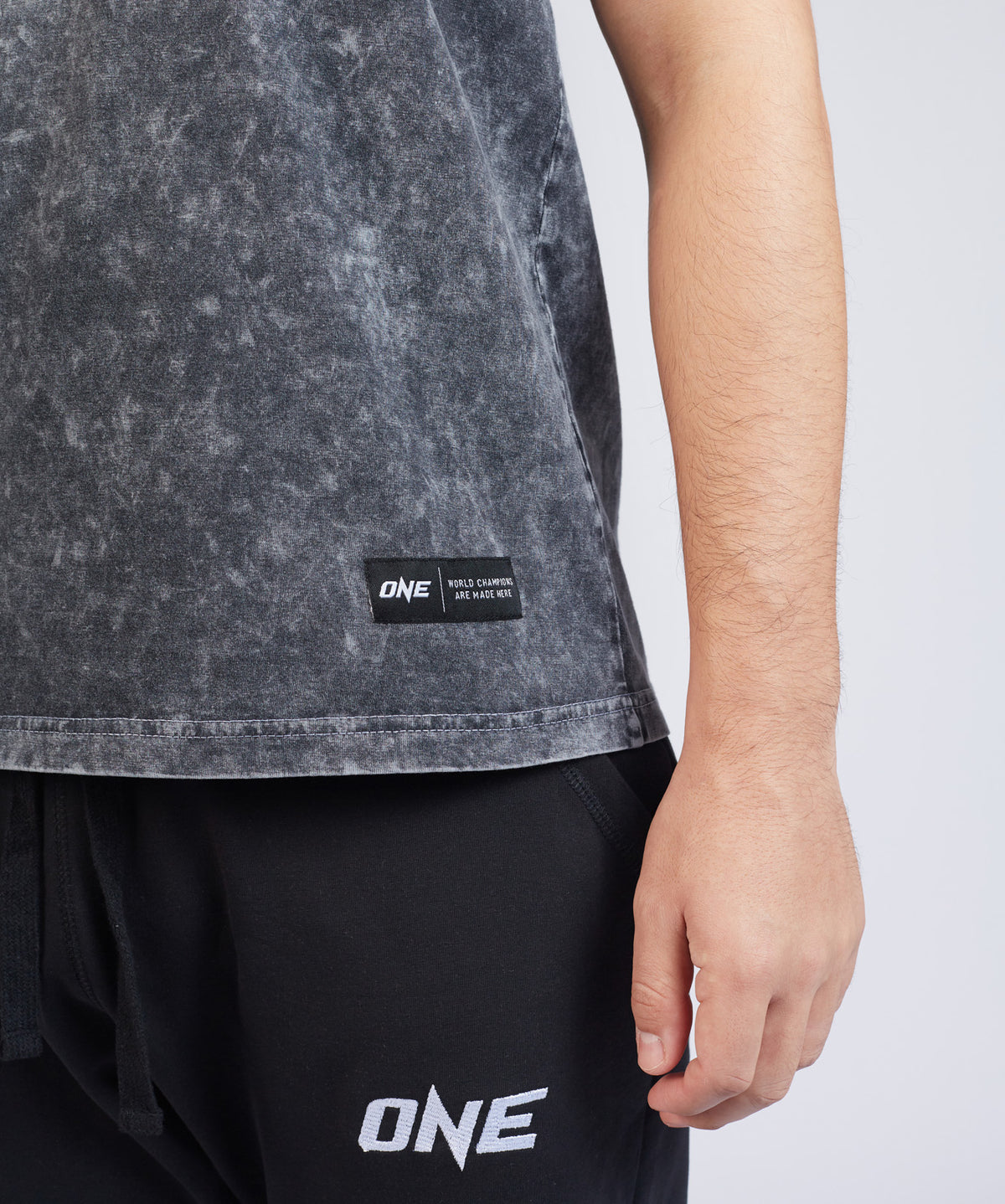 ONE Logo Stonewashed Tee